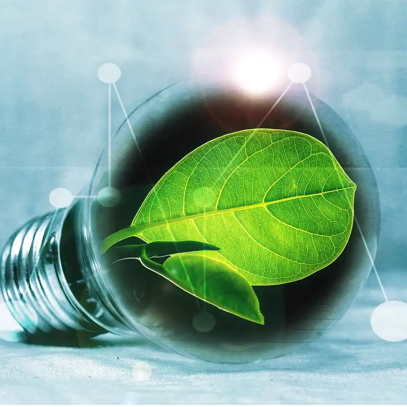 comportement eco responsable