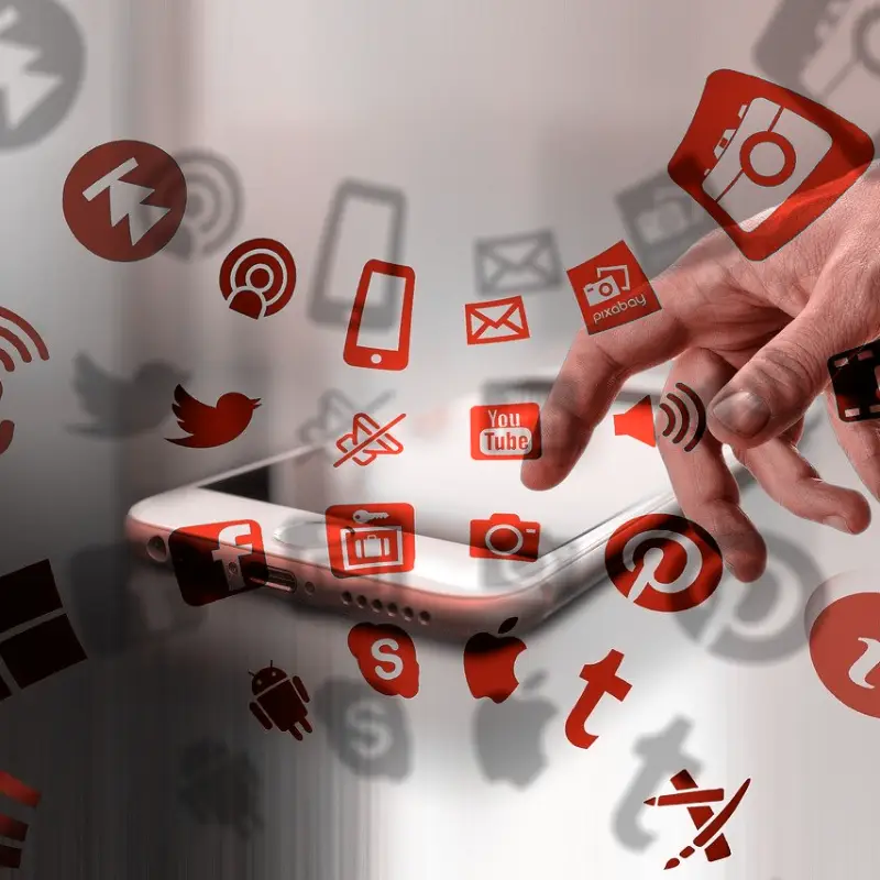 role des reseaux sociaux